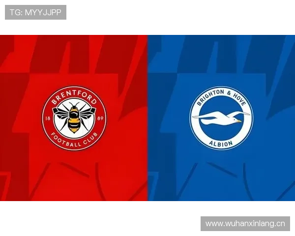 英超蜜蜂 英超蜜蜂