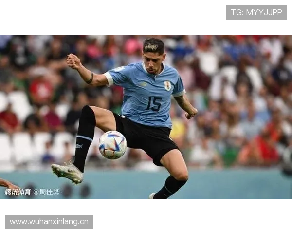 巴尔韦德：乌拉圭中场核心的稳定输出解析