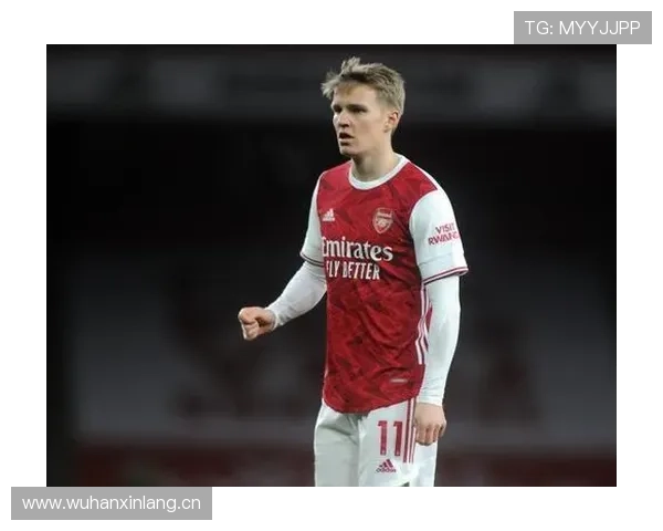 厄德高终结能力是否不足 厄德高终结能力是否不足