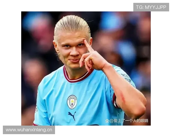 莱万多夫斯基与哈兰德射门热区分散度转移趋势